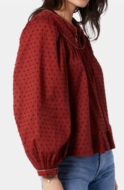 Joie Keena Long Sleeve Cotton Top -Joie Shop 22 2 008959 TP562 RUSSETBROWN KEENA 2