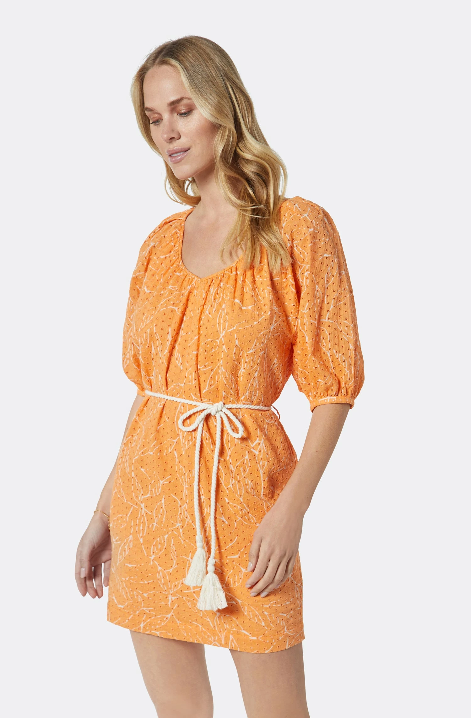 Joie Tillman Mini Cotton Dress 2 Joie Tillman Mini Cotton Dress - Image 2