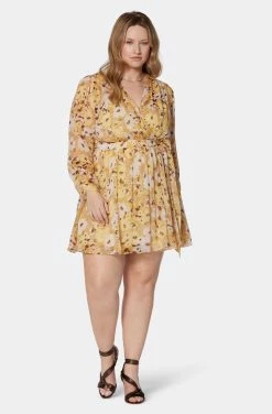 Joie Clara Mini Silk Dress -Joie Shop D0109X9368 AGLM 1